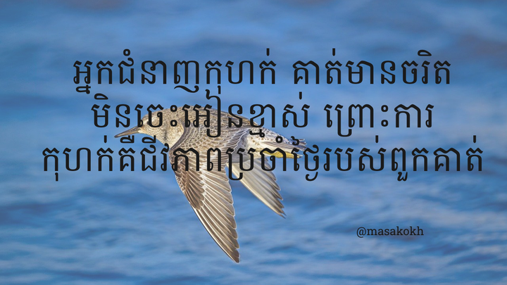 អ្នកជំនាញកុហក់