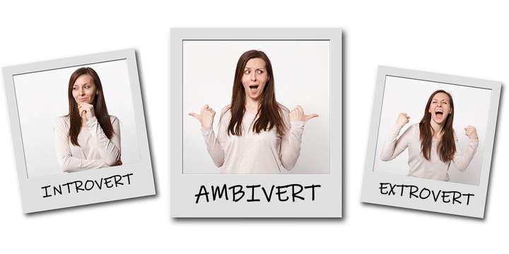 Introvert Ambivert Extrovert